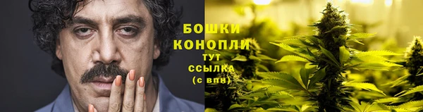 Альфа ПВП Горнозаводск