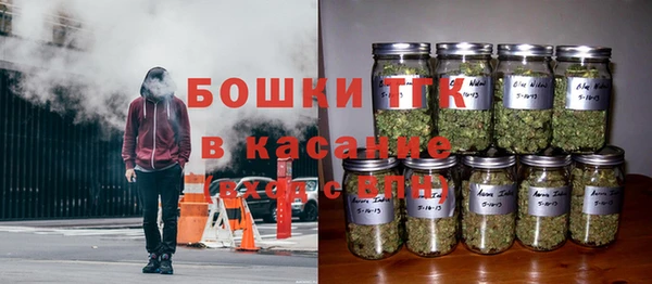 соль ск Гусь-Хрустальный