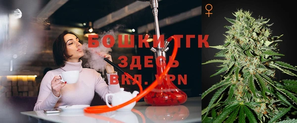 соль ск Гусь-Хрустальный