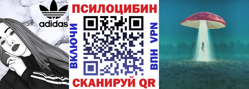 kraken маркетплейс  Дальнереченск  Галлюциногенные грибы Cubensis 